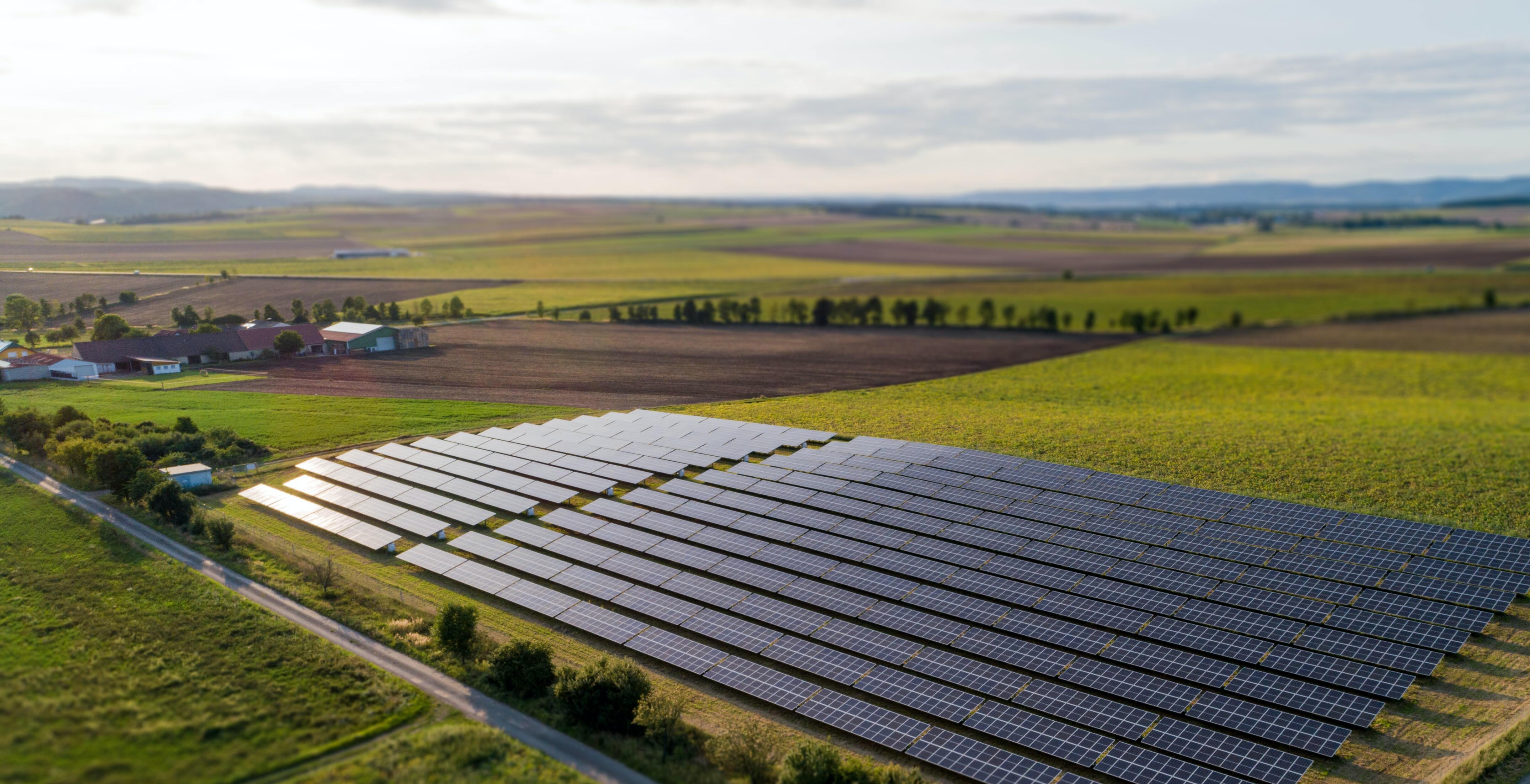 placas solares instaladas en un campo